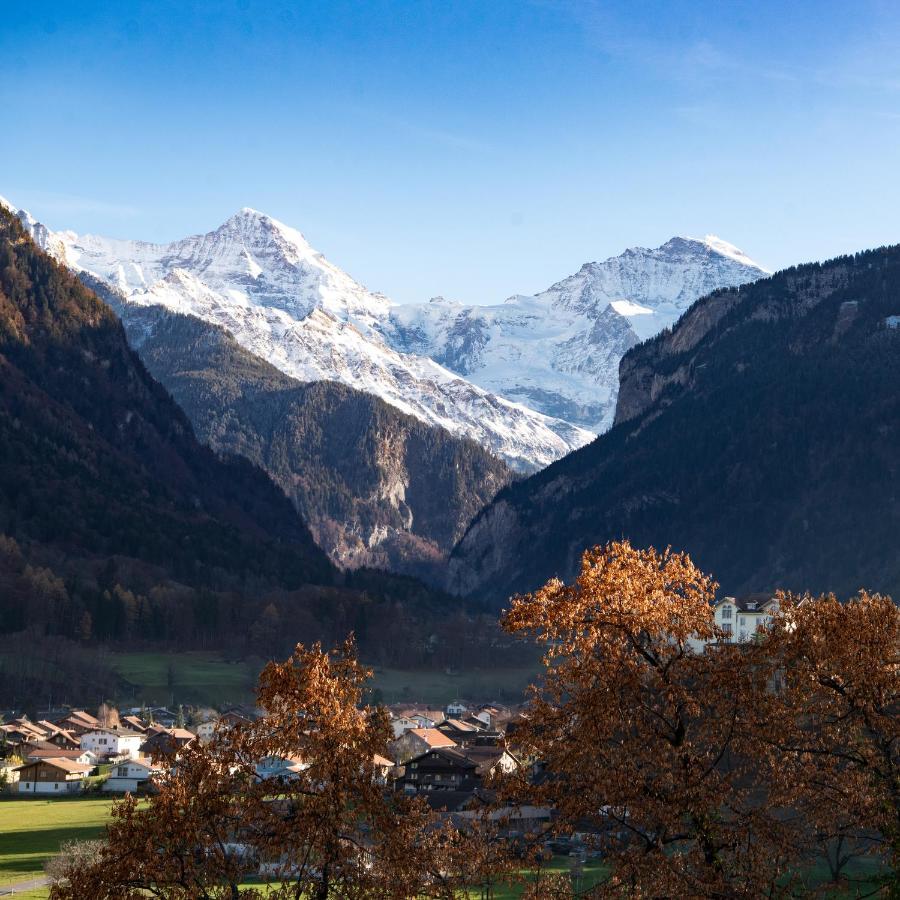 Swiss Holiday House 빌더스빌 외부 사진