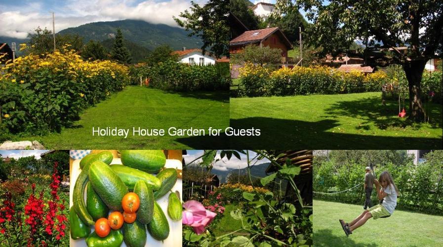 Swiss Holiday House 빌더스빌 외부 사진