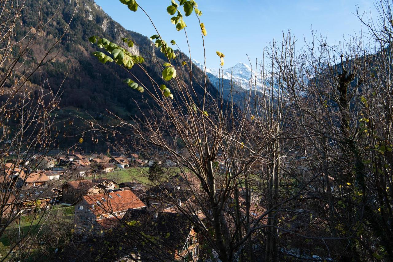 Swiss Holiday House 빌더스빌 외부 사진